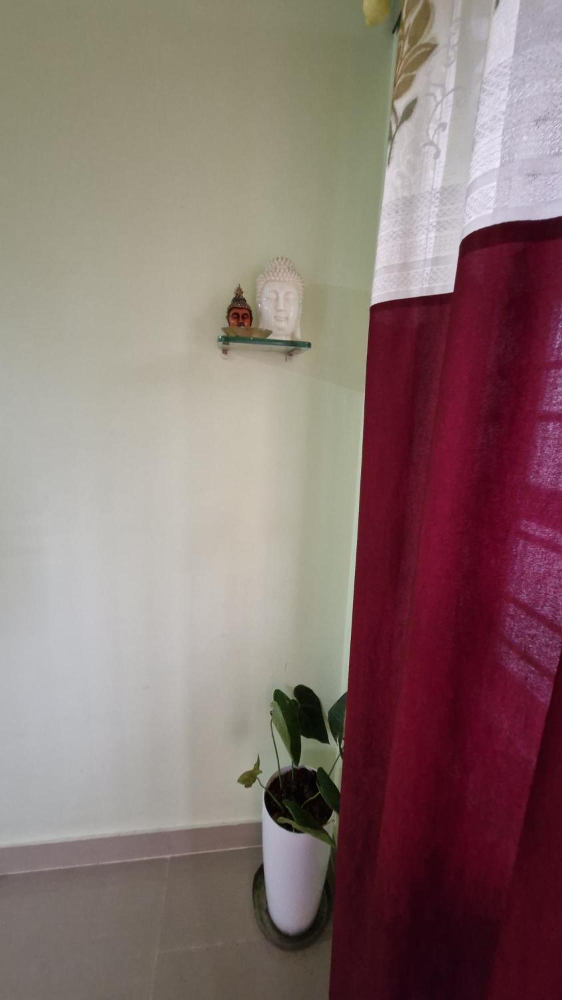 Malgudi Mane Homestay Chikmagalūr المظهر الخارجي الصورة