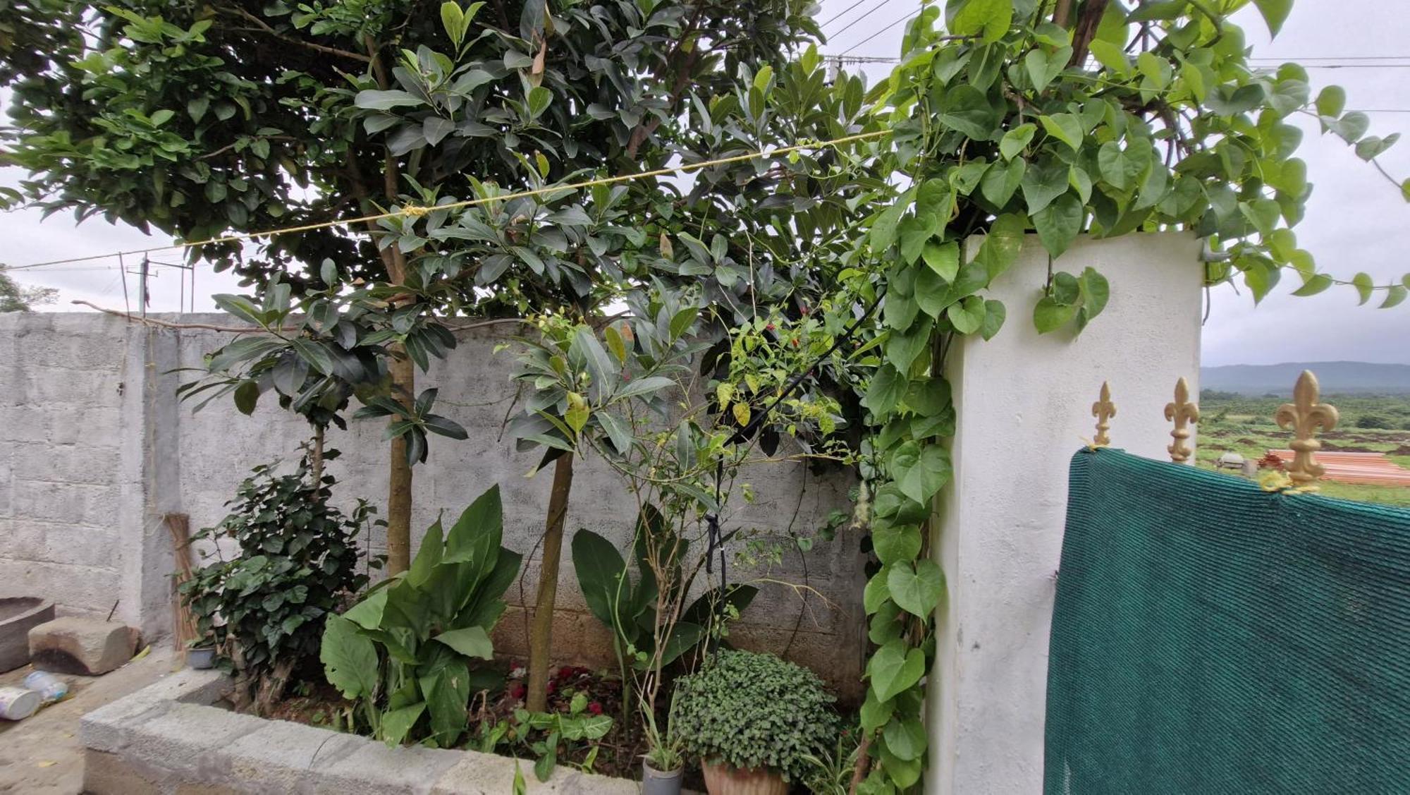 Malgudi Mane Homestay Chikmagalūr المظهر الخارجي الصورة