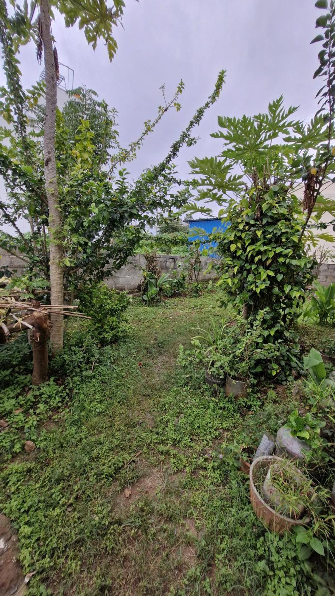 Malgudi Mane Homestay Chikmagalūr المظهر الخارجي الصورة